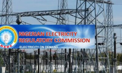 Federal Government Empowers Energy Future with 13 New Licences for Power Generation and Distribution Ventures