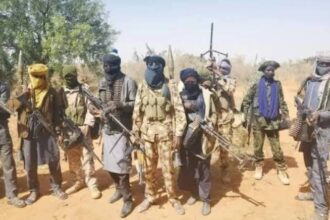 In a desperate bid for ransom, Najeebah, one of six sisters abducted in Abuja on January 9, has been killed by gunmen.